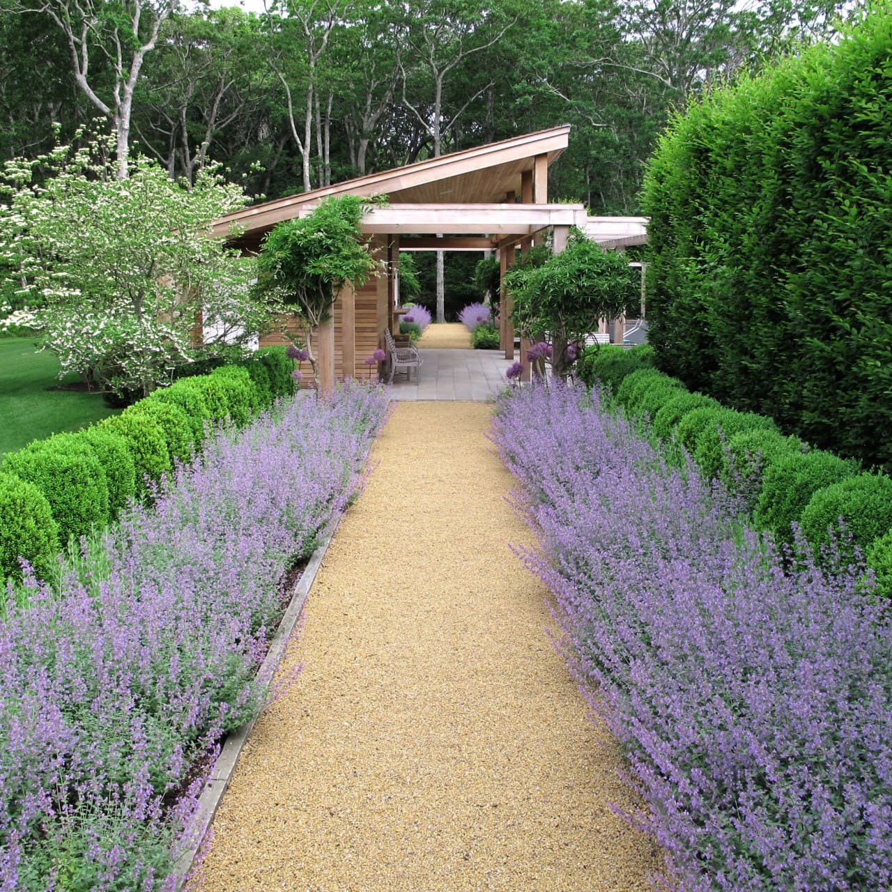 Landscape enhancement detail — gravel path flanked by lavender mass plantings, manicured boxwood and pyramidal yew hedge, leading to a cedar pergola structure