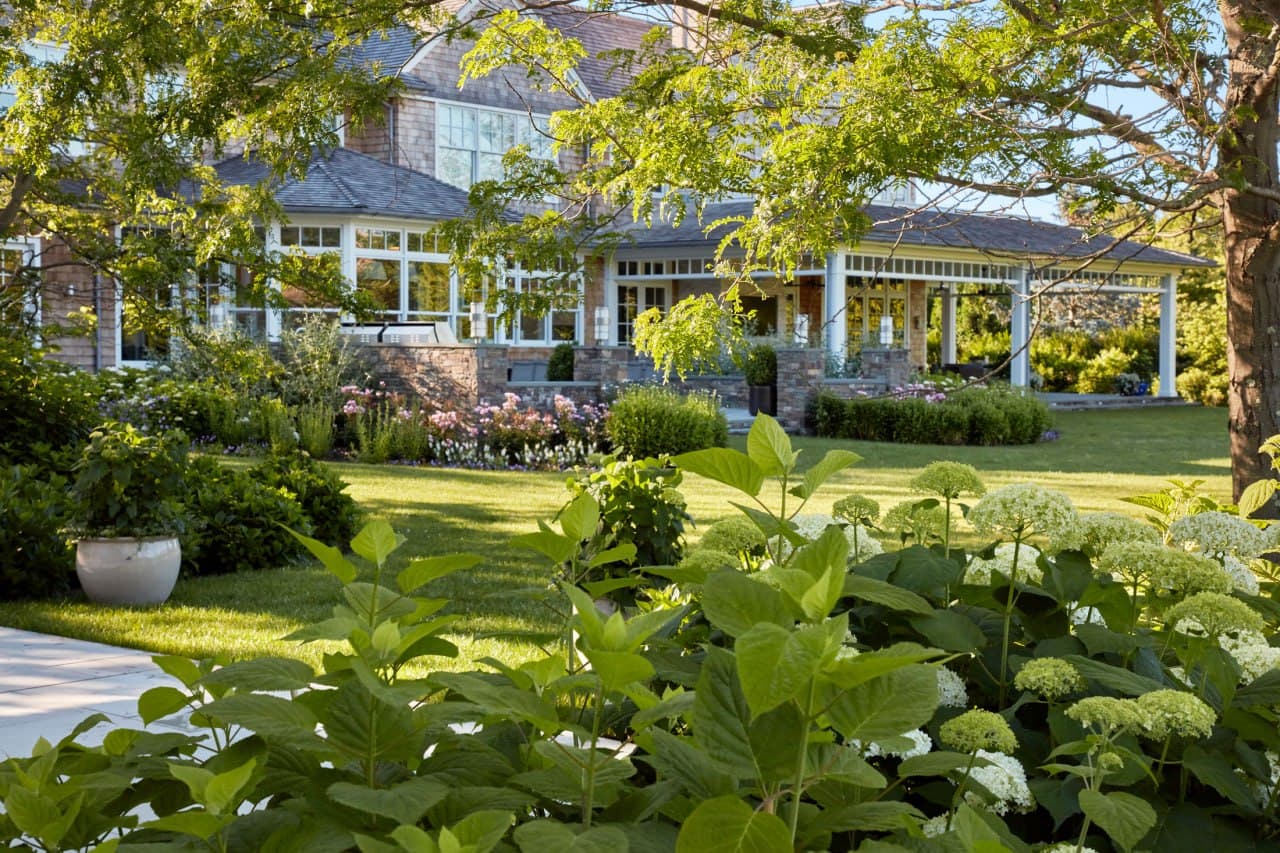 Shingled estate behind layered hydrangea plantings.