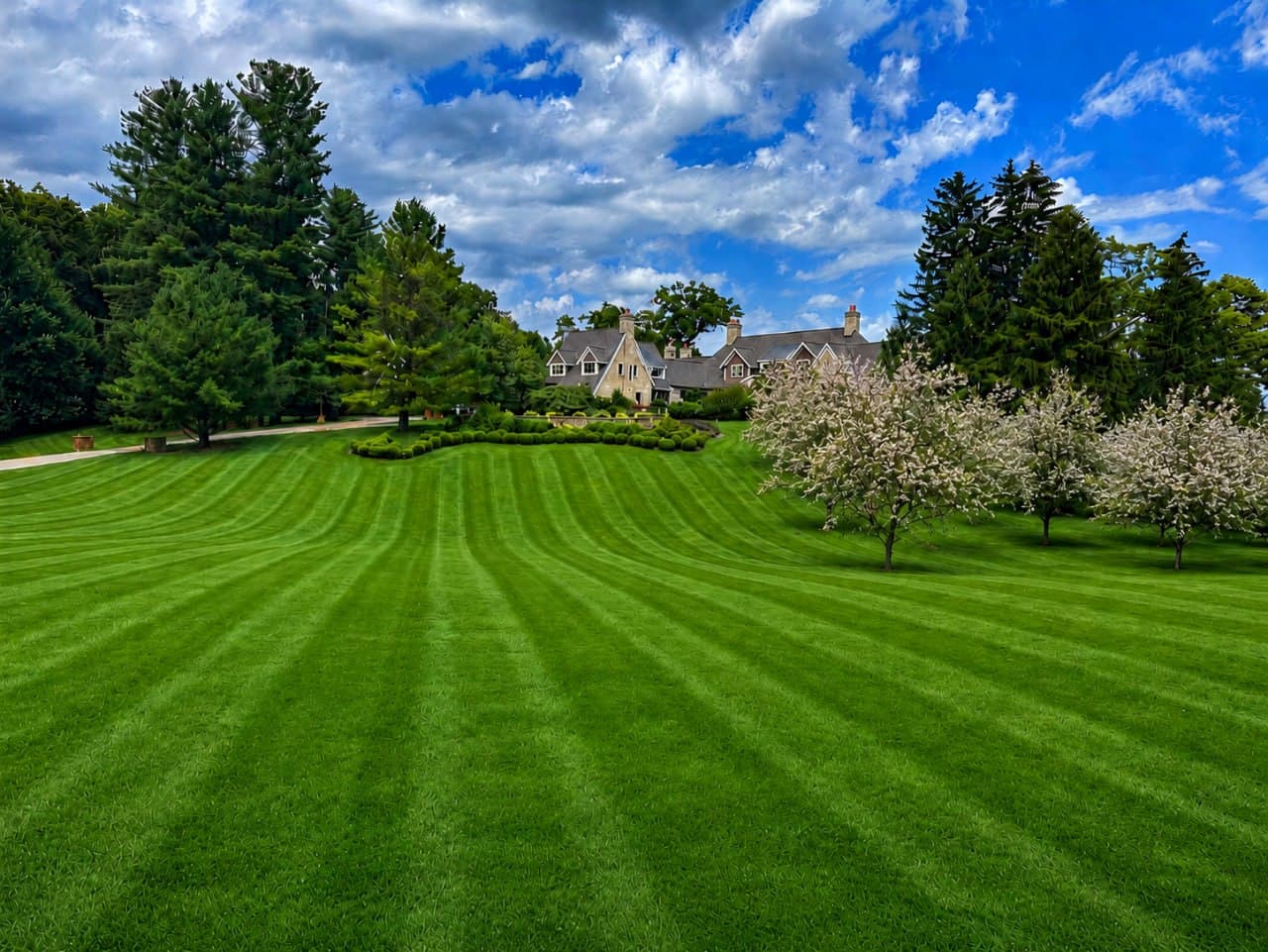 Sandstone estate viewed across deep striped lawn flanked by mature evergreens and blooming crabapples.