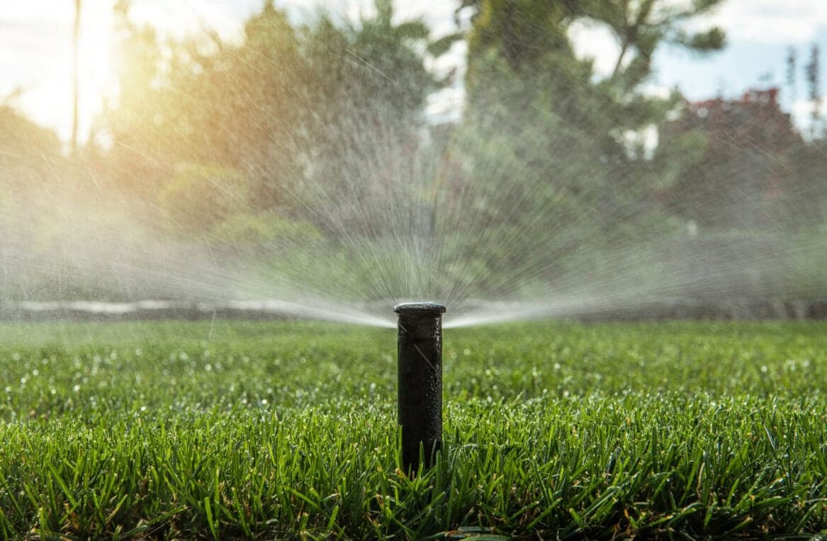 Irrigation Management