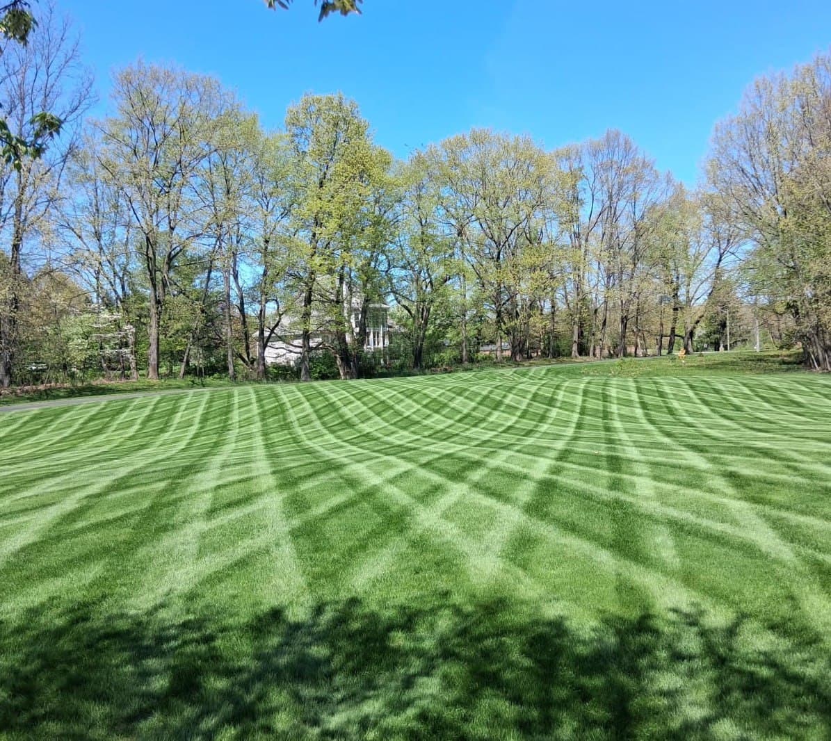 Lawn Care & Mowing