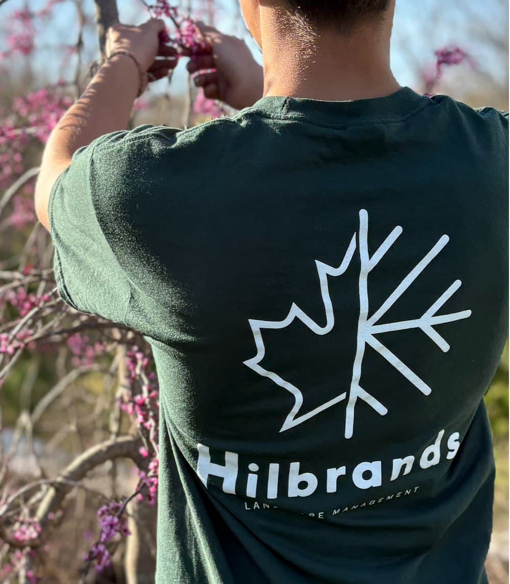 Plant & Bed Care